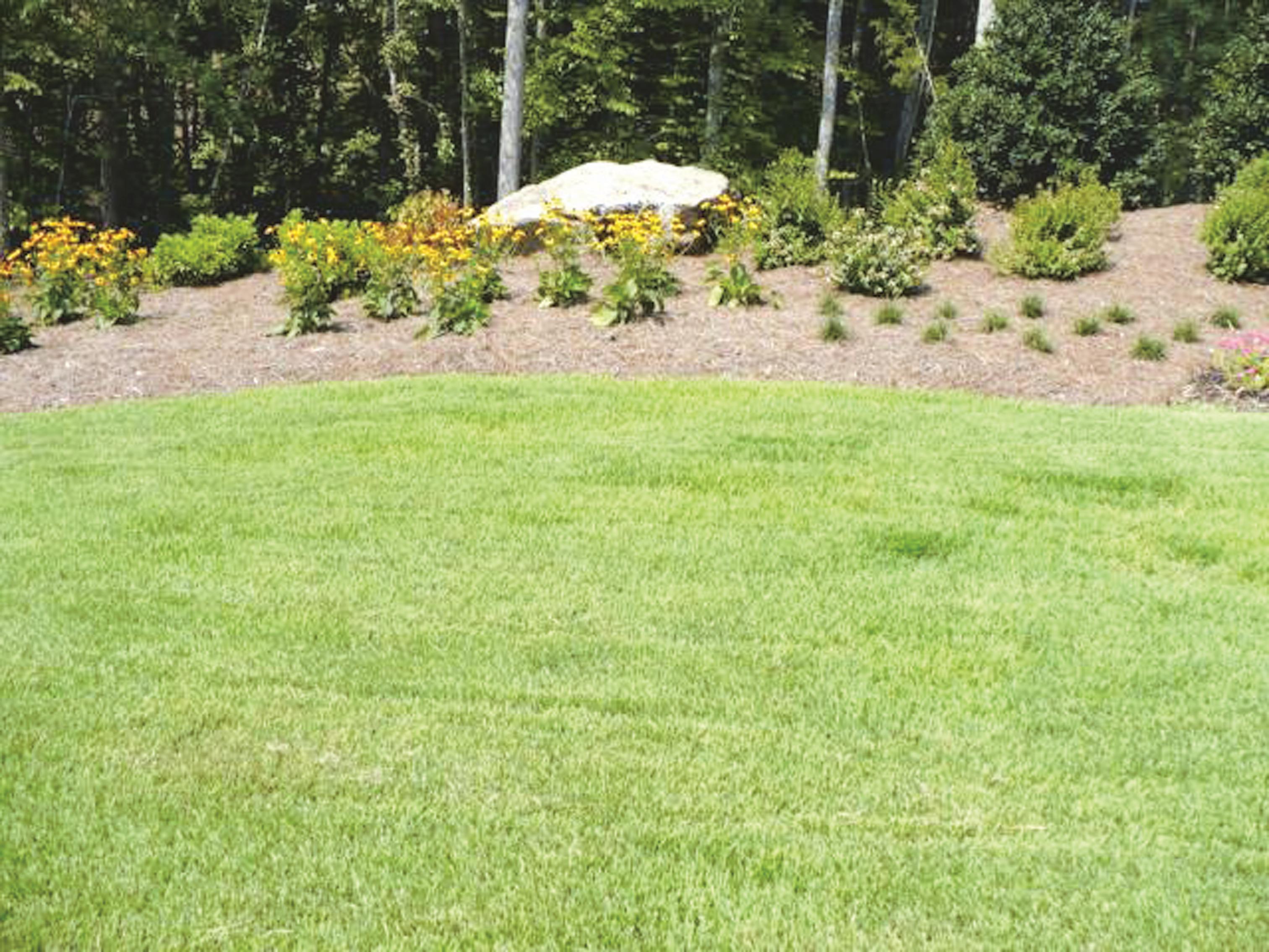 North Carolina Turfgrass July / August 2023 by leadingedgepubs Issuu