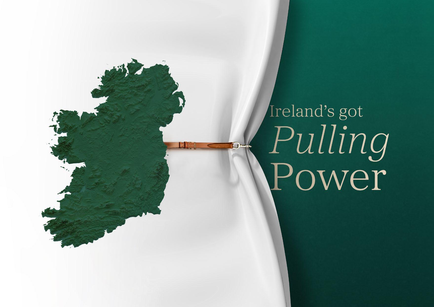 Goffs November Breeding Stock Sale Ireland's Showcase by Goffs Issuu