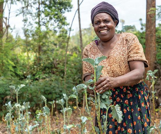 Tinder of Bees” connects farmers with beekeepers - Future Farming