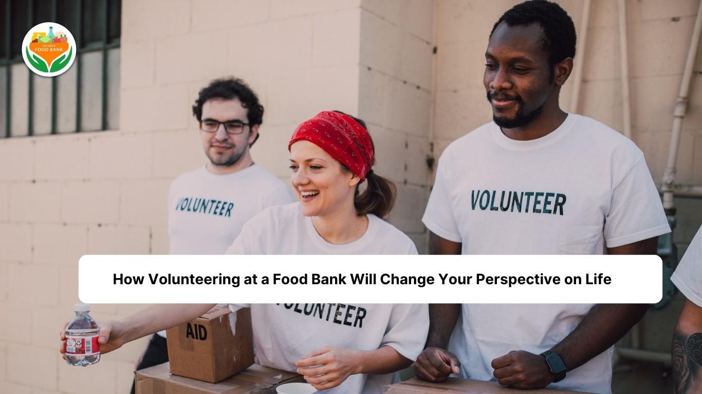 Sai Dham Food Bank by saidhamfoodbank Issuu