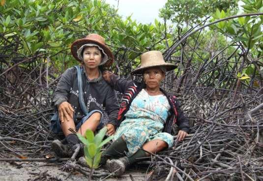 Cover for CARBON OFFSETS