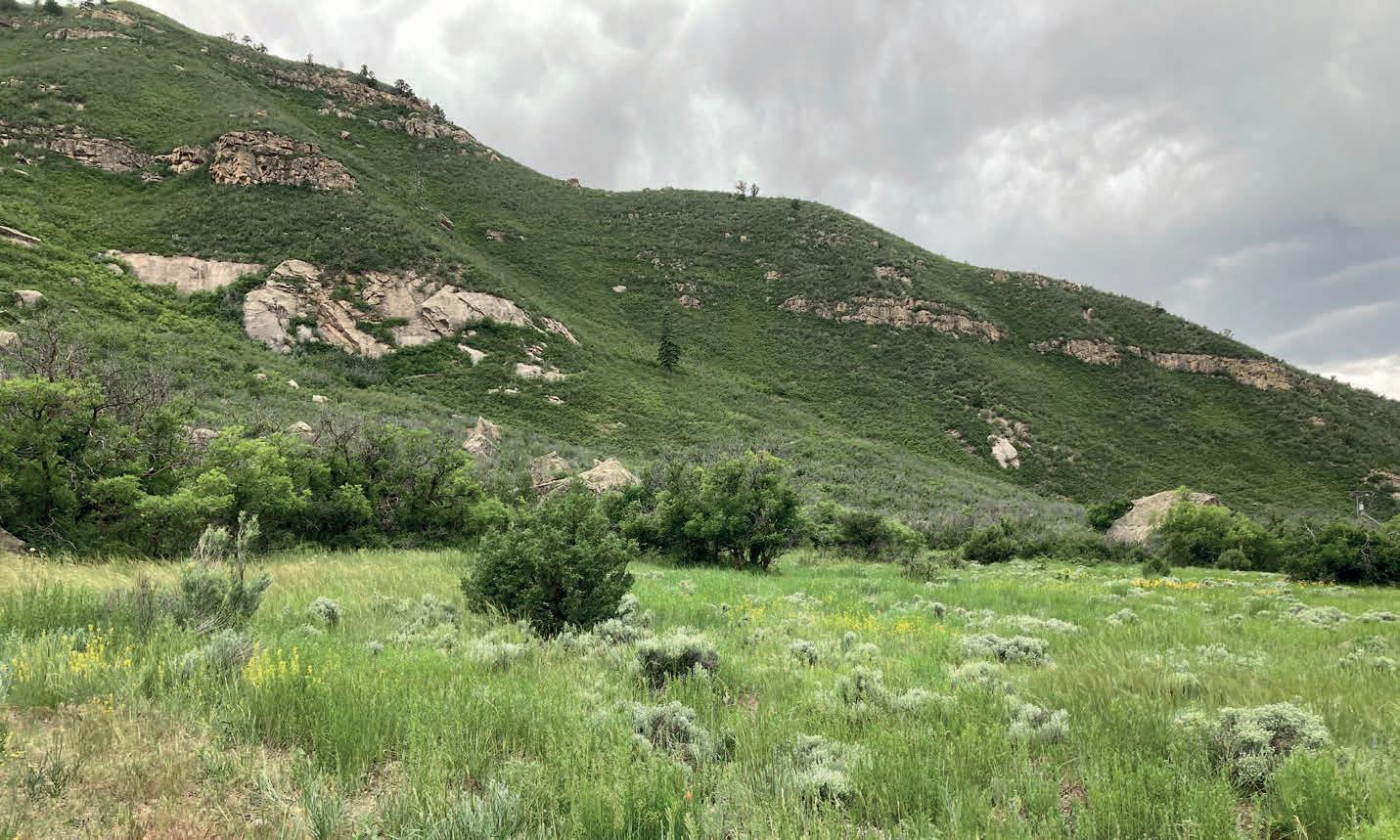 Haven Colorado Mountains | June 2023 by havenlifestyles - Issuu