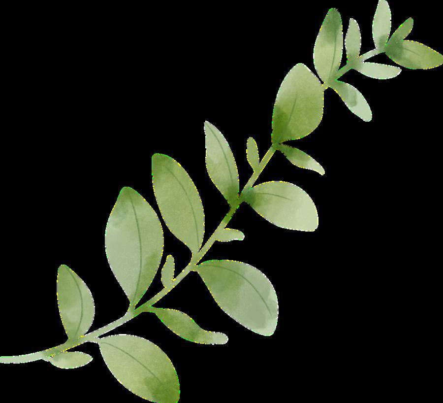 QHSS Key Club June Newsletter (20232024) by QHSS KEY CLUB Issuu