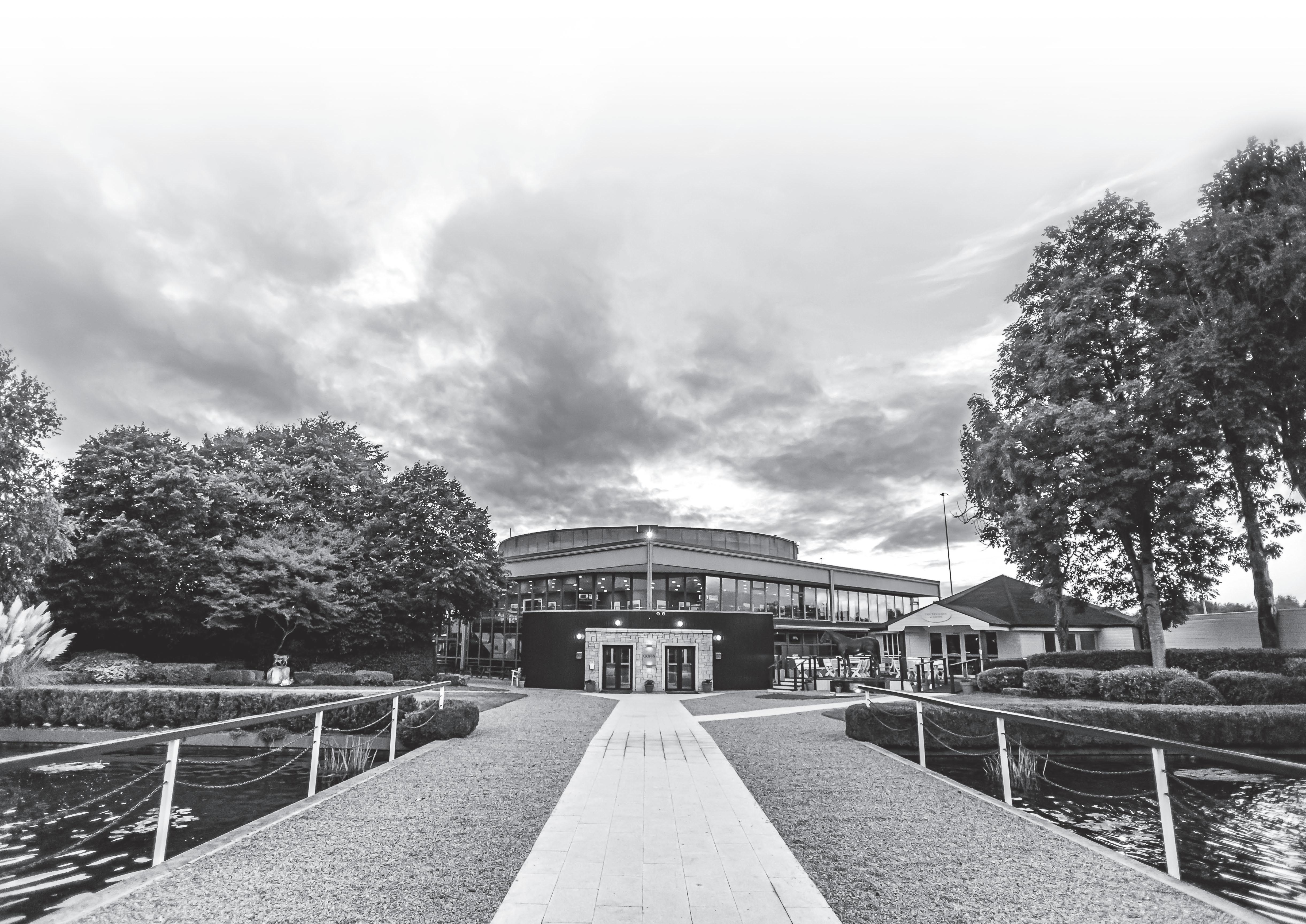 Goffs November Foal Sale 2023 by Goffs Issuu
