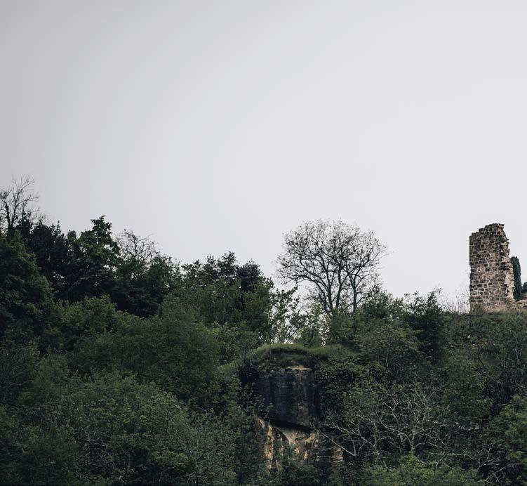 Cover for IM SCHATTEN DER BURG