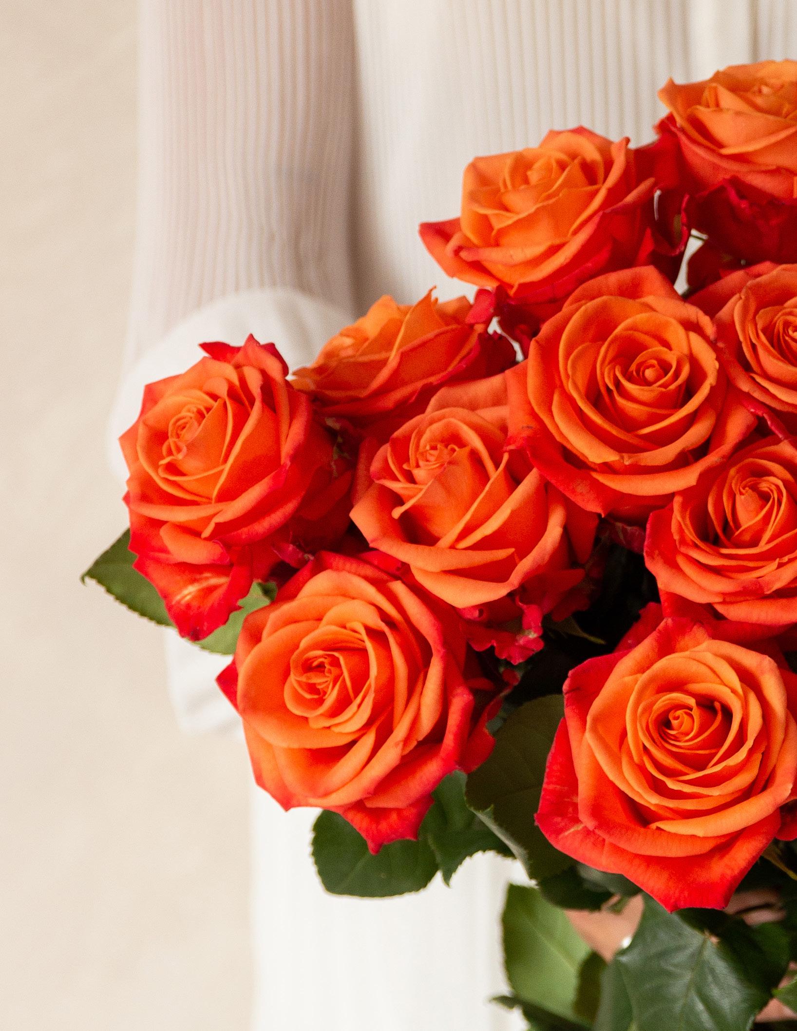 Tavola Catalog 2023 by Rosaprimamkt Issuu