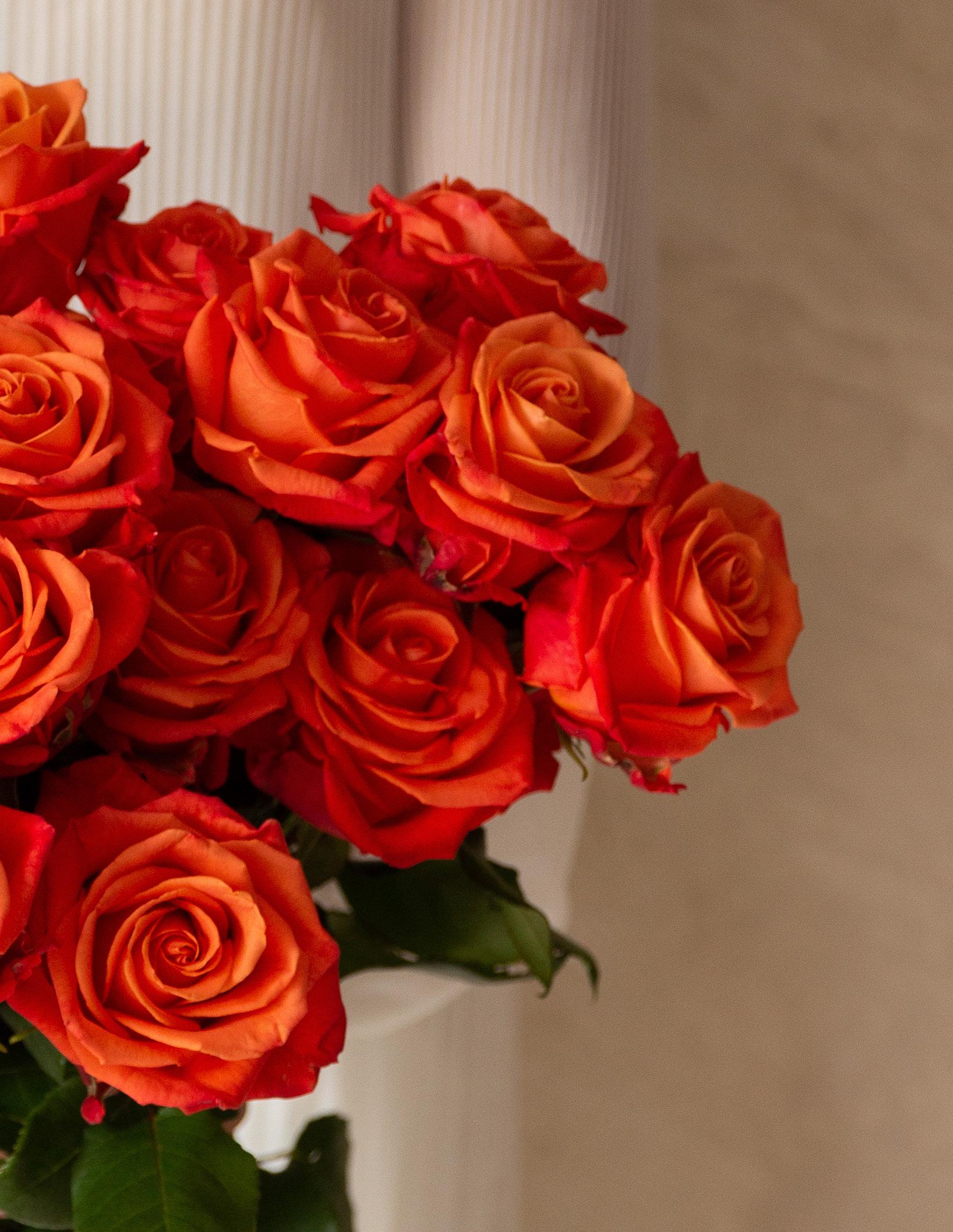 Tavola Catalog 2023 by Rosaprimamkt Issuu