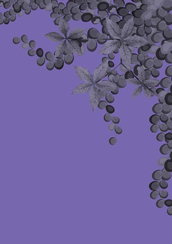 Cover for La ley N°30407