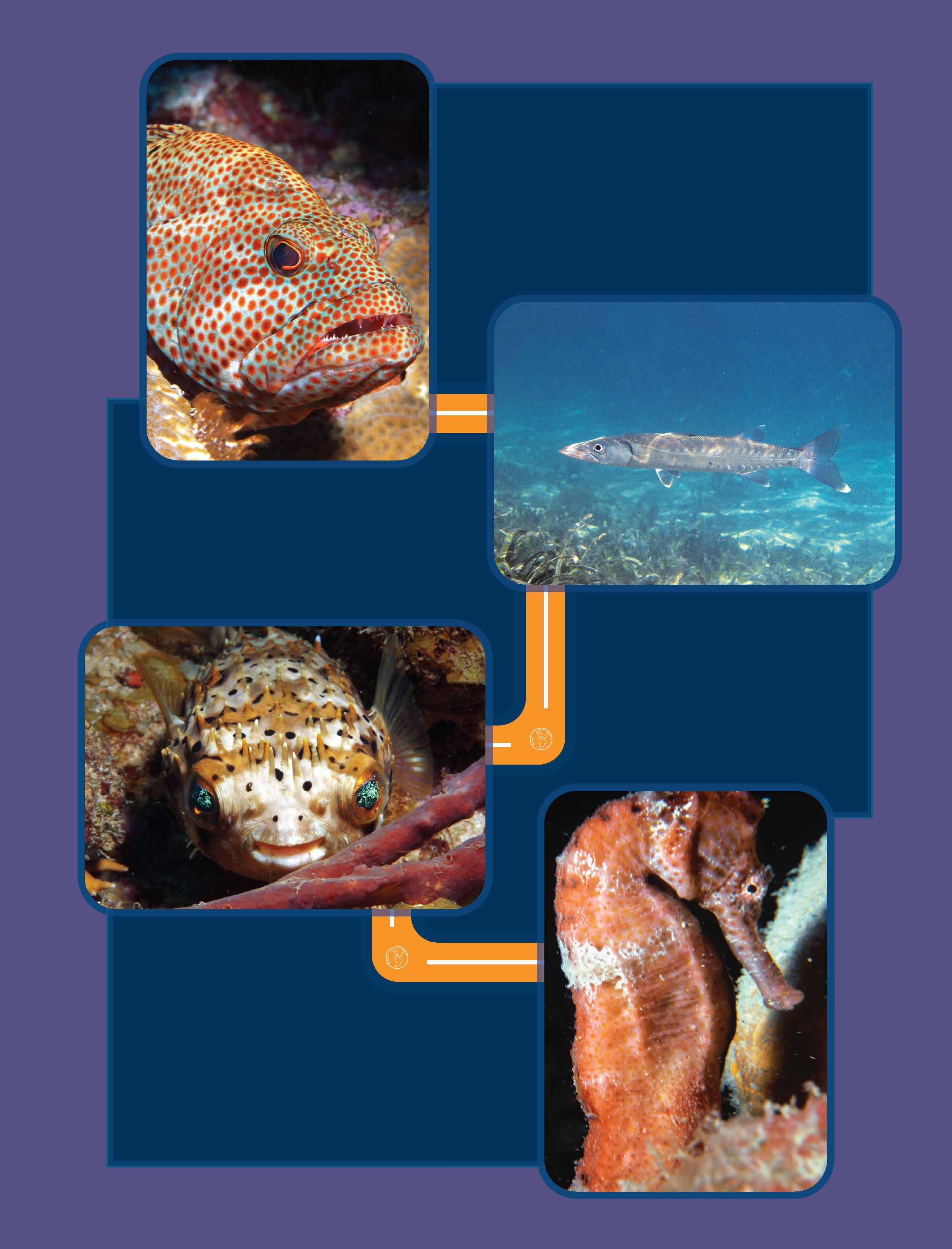 Biolocurazoica (@biolocurazoica) • Instagram photos and videos, image size:2630x3450