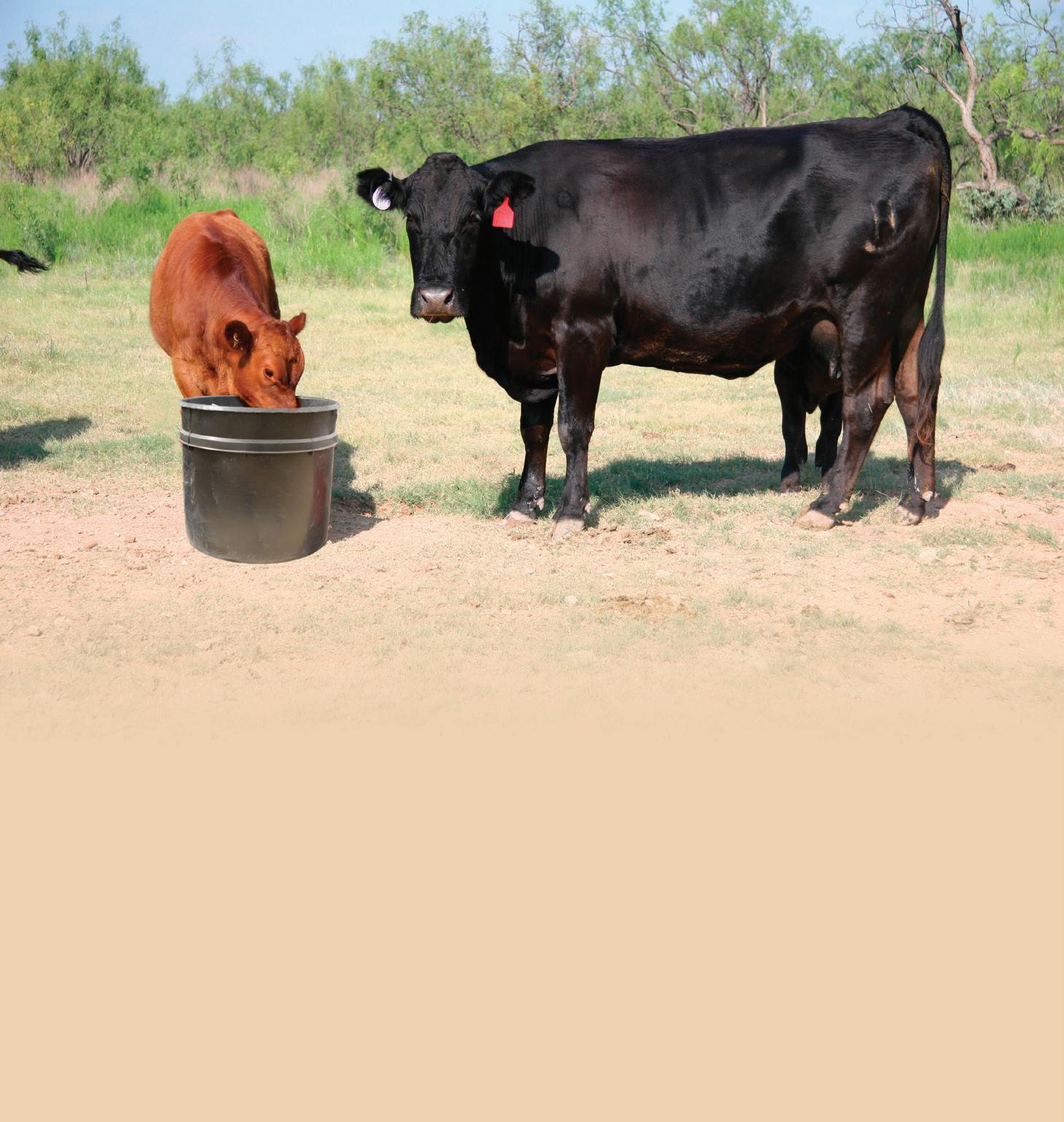 Black+Decker String Trimmer Head Cap by Brandon Leger, Download free STL  model