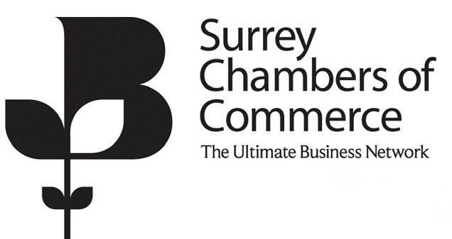 Cover for CHAMBERS NEWS TRANSLATION WEBINAR