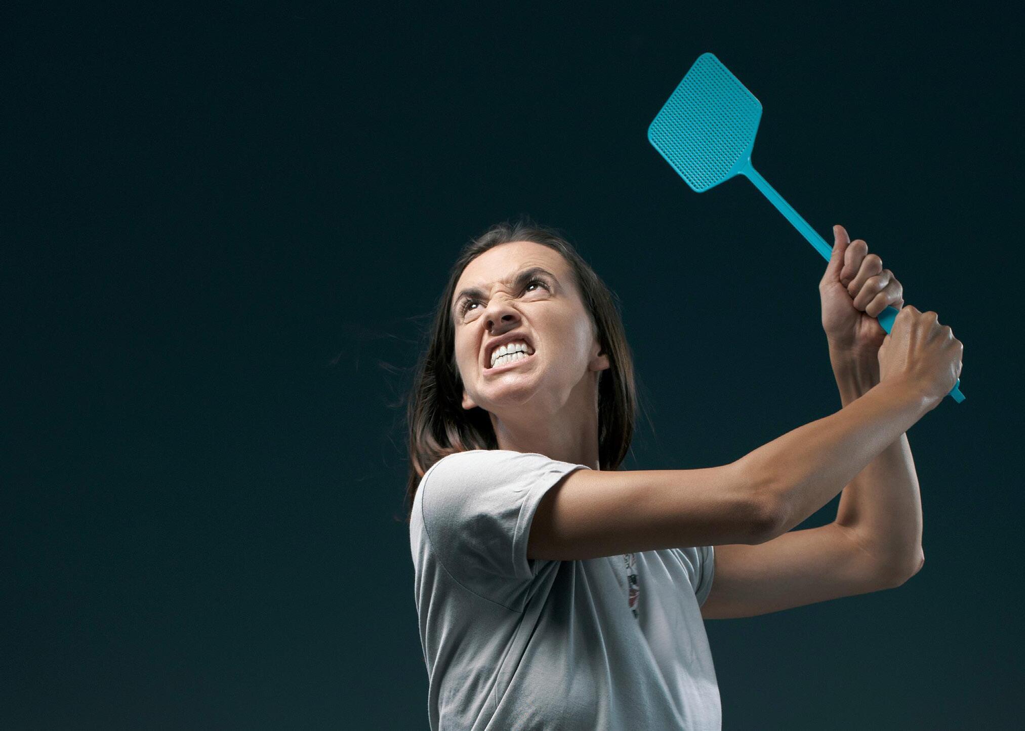 Cover for Kome komarci sišu krv?