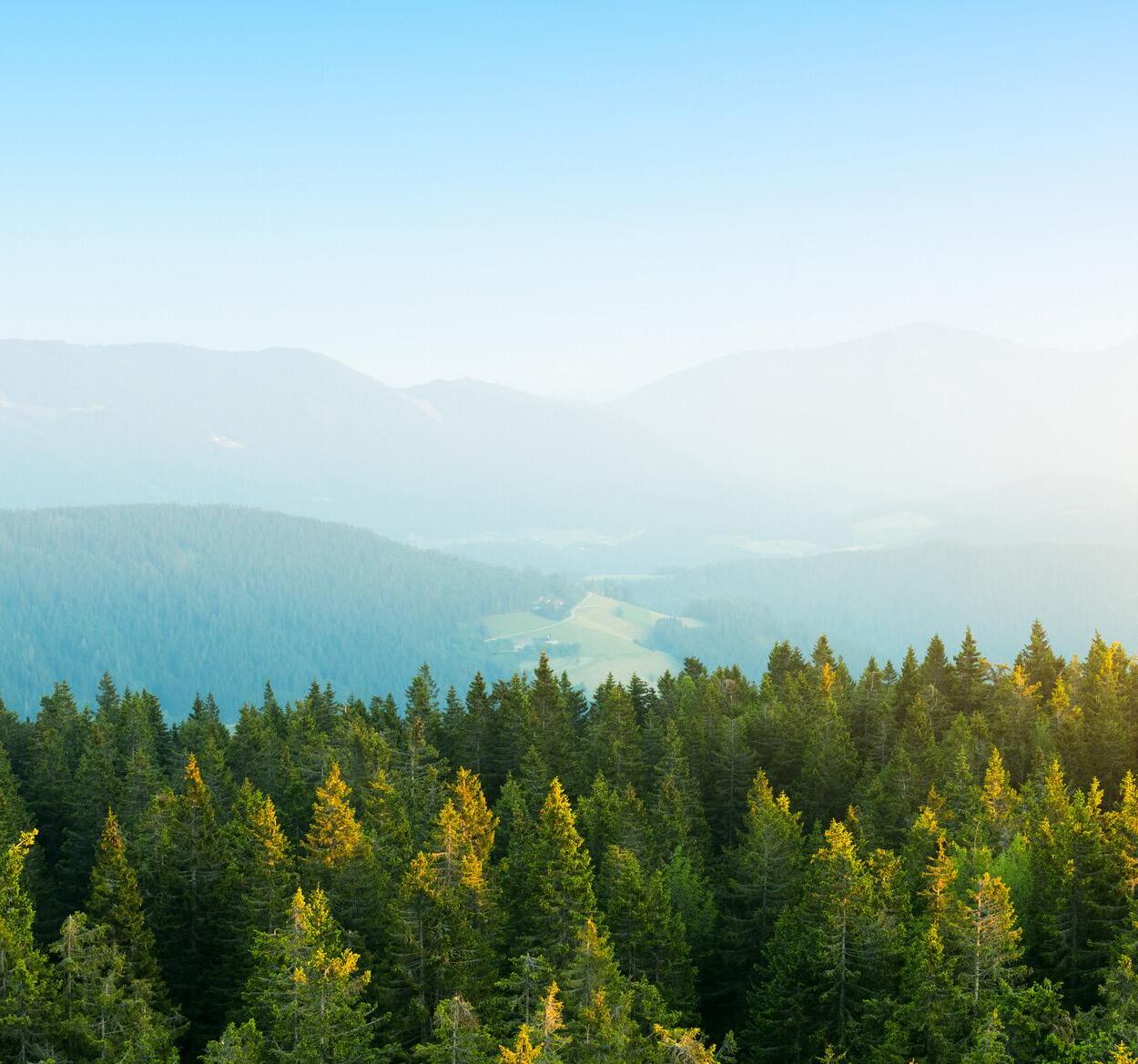 SILAC® Company Brochure by SILAC Insurance Company® Issuu