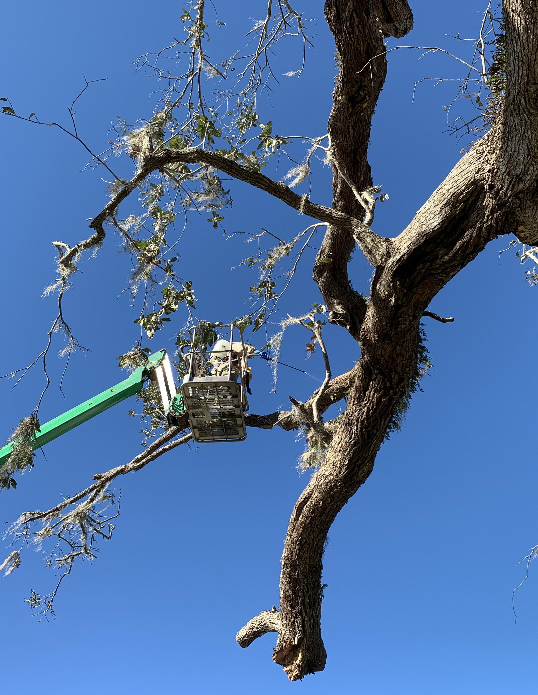 Five-Minute Meeting: Preventing Falls on Steep Terrain - Training and  Workshops for Arborists