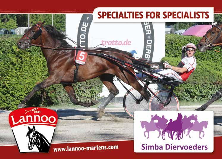 Wolvega International Yearling Sale 2023 by Dilling Design Issuu