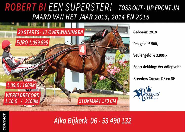 Wolvega International Yearling Sale 2023 by Dilling Design Issuu