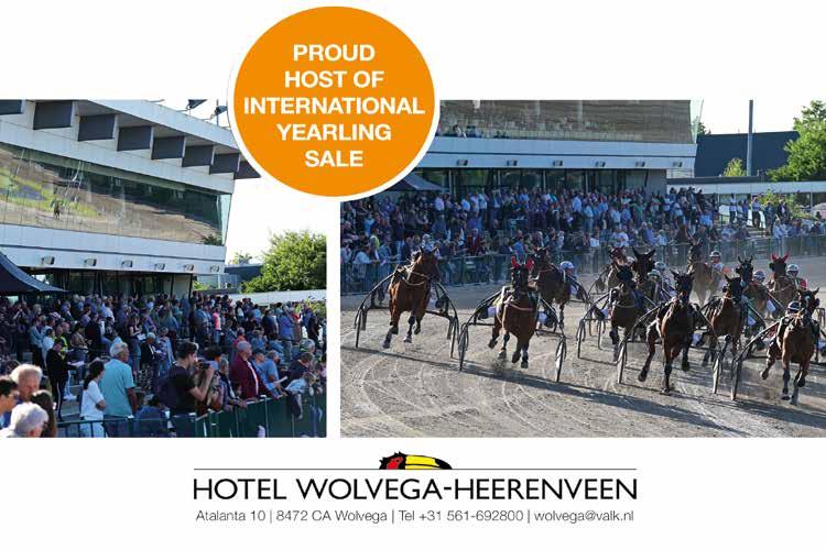 Wolvega International Yearling Sale 2023 by Dilling Design Issuu