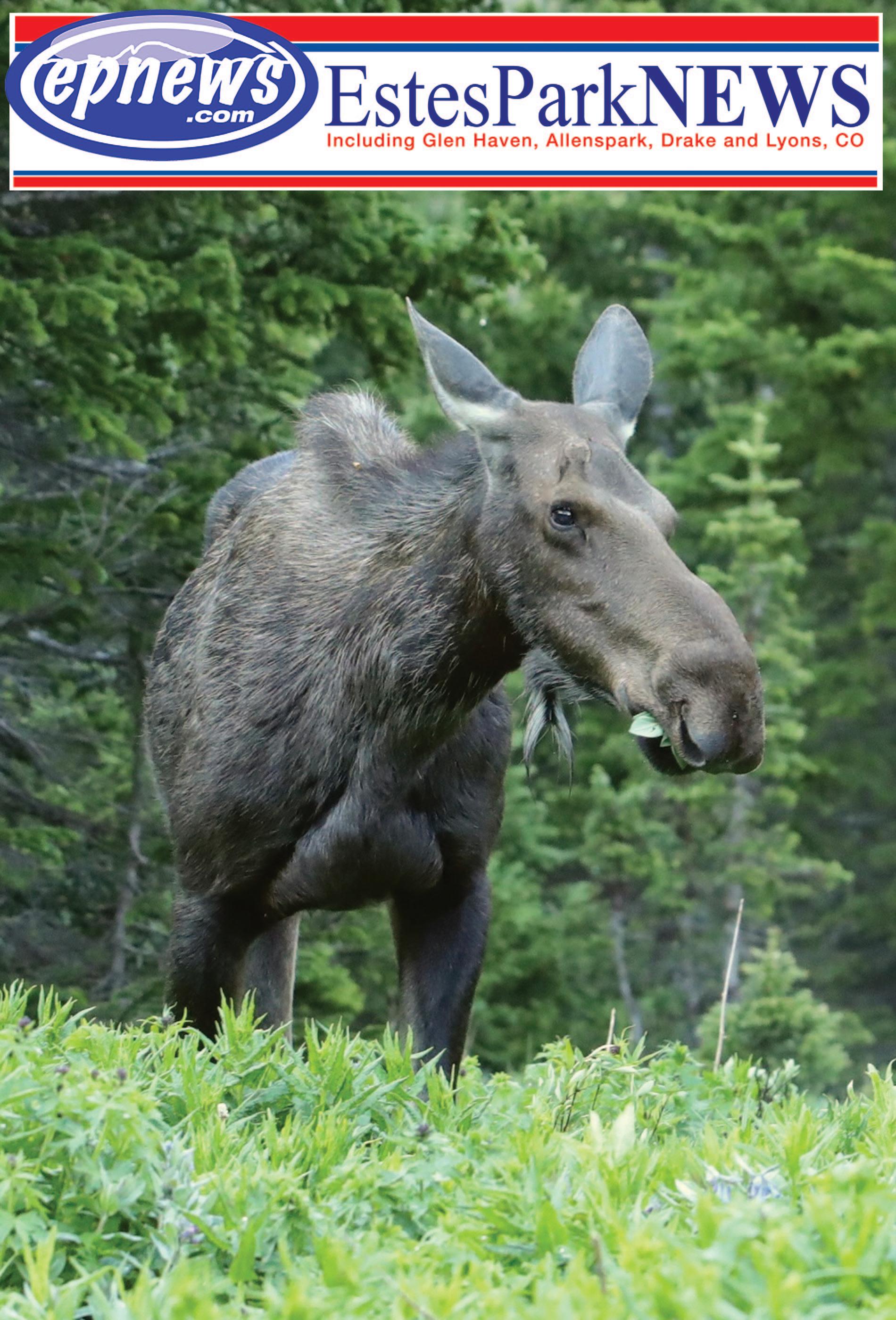 Estes Park News, July 21, 2023 by Estes Park News, pic