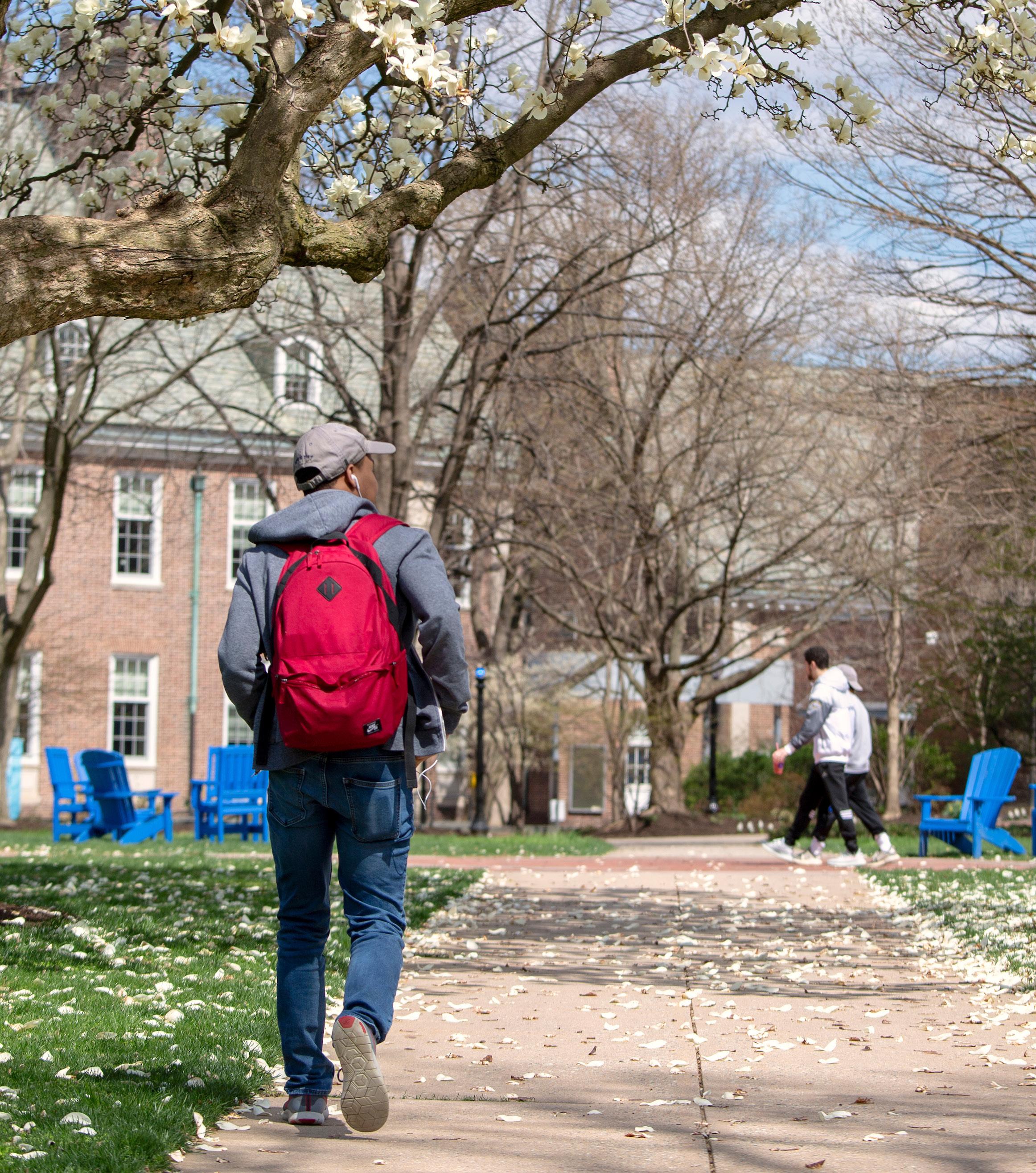 Franklin & Marshall College International Student Handbook by Angelina
