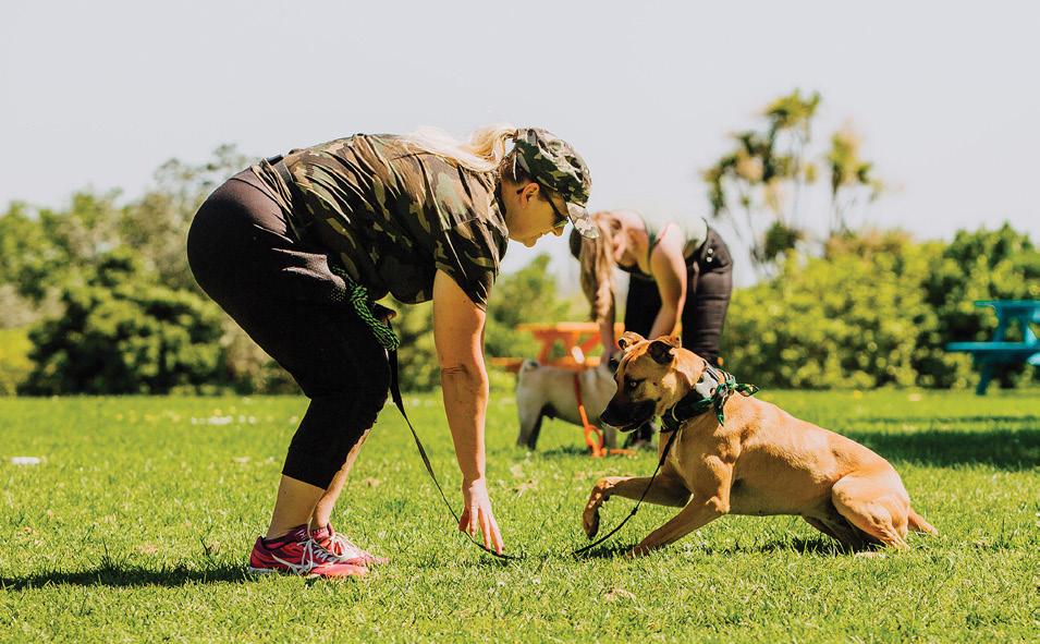 Environmental & Animal Sciences Brochure 20232024 by Te Pūkenga