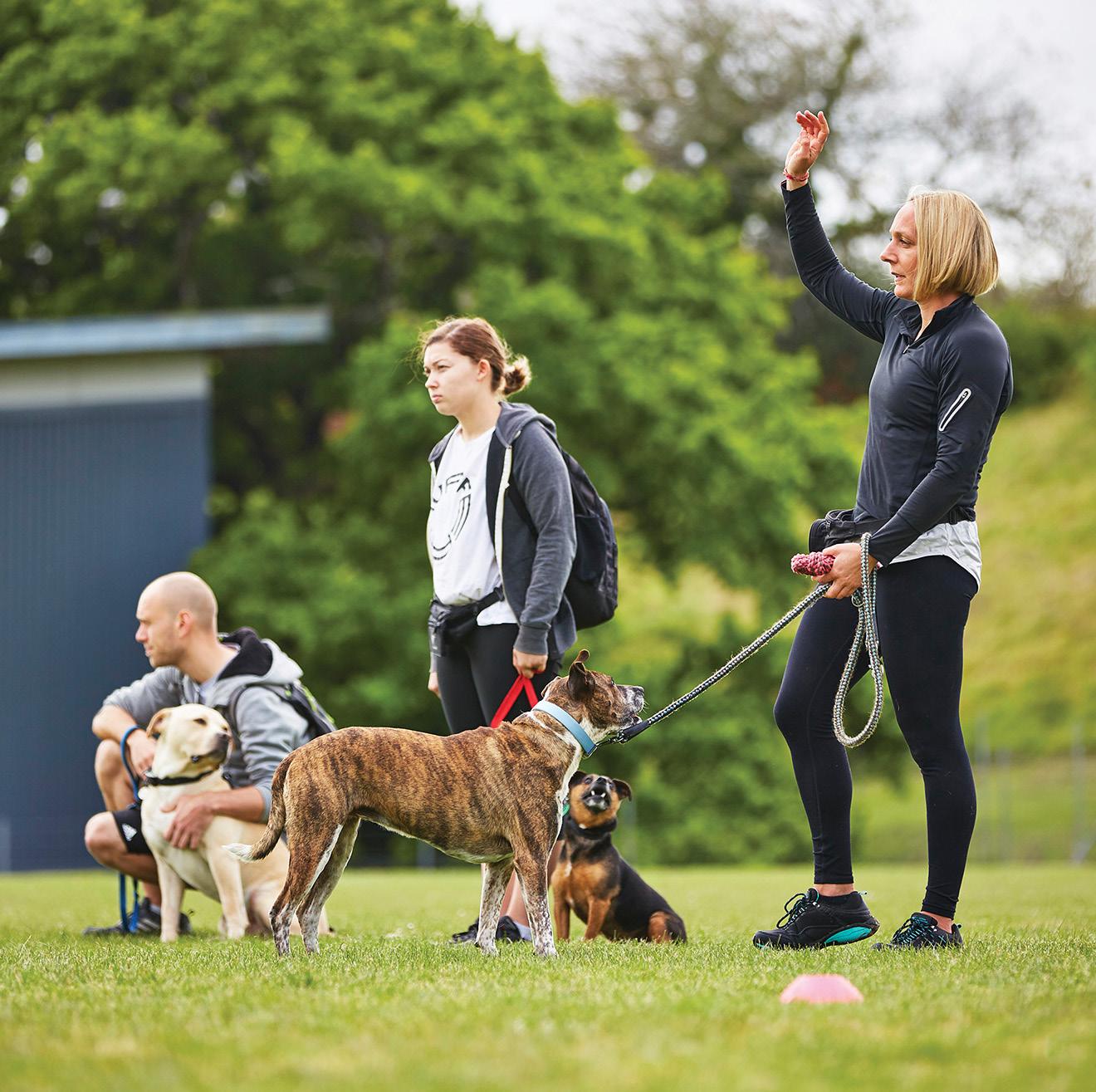 Environmental & Animal Sciences Brochure 20232024 by Te Pūkenga