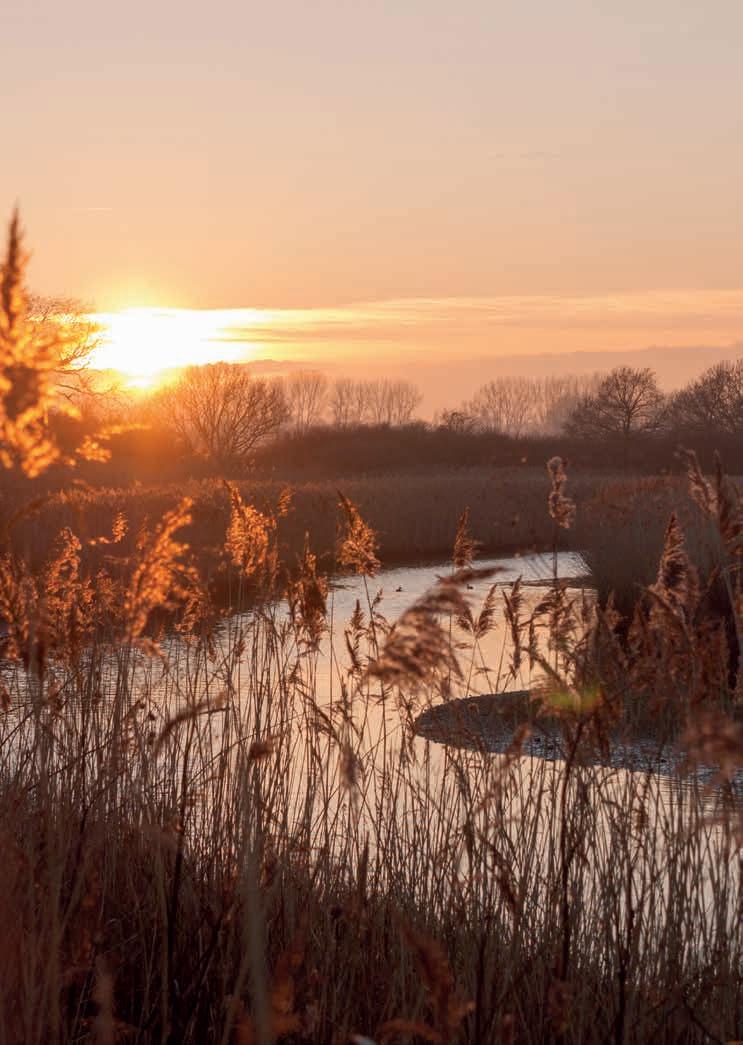 Cover for ALL ABOUT THE TOWNS, COAST AND COUNTRY