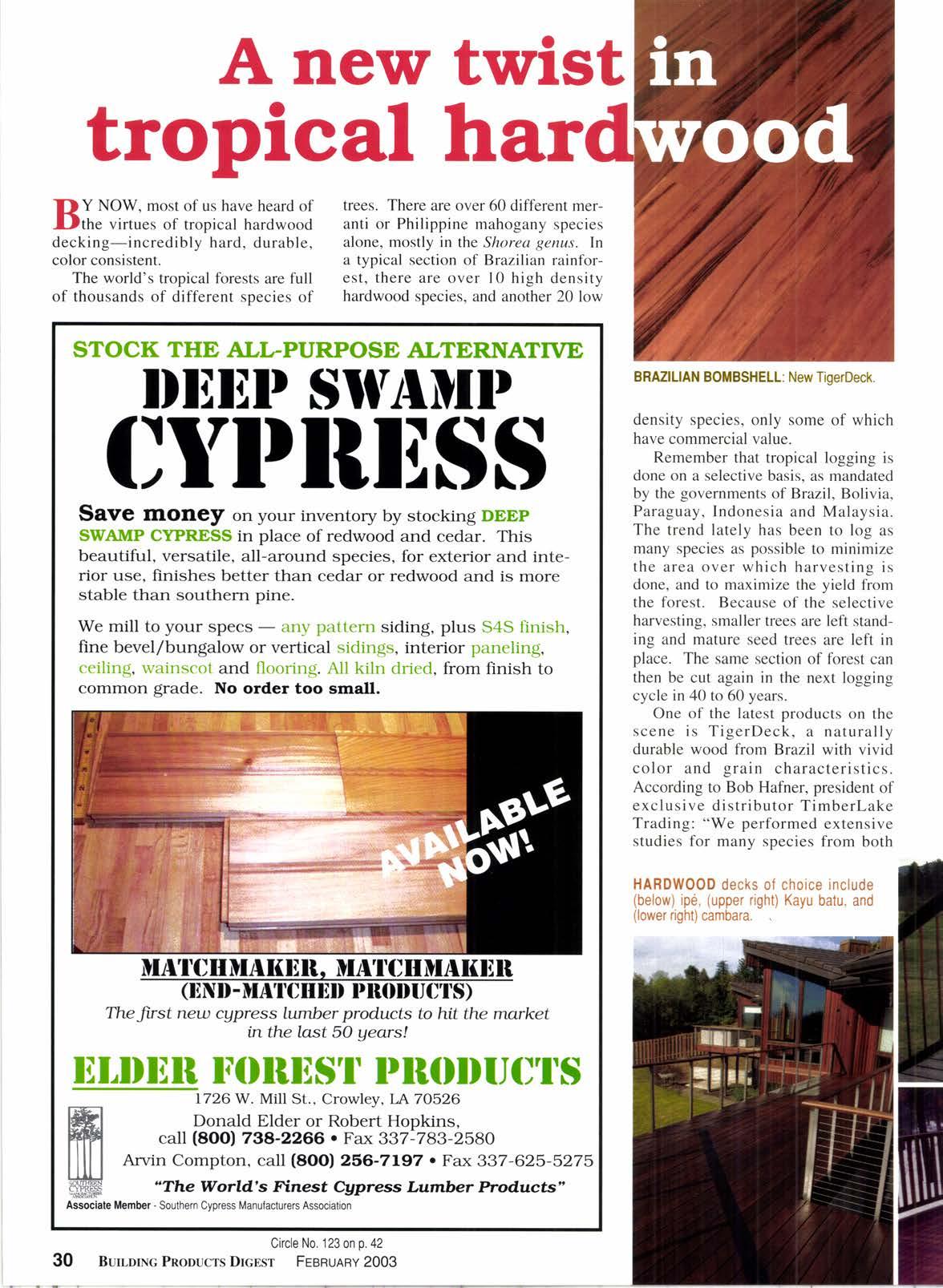 Cover for ALTERNATTIIE DIIIIID SIIT/TilIP CYIDIBIISS