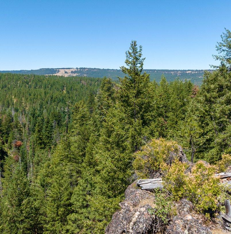 SOLD Wineland Lake Hunting & Timber Ranch Fay Ranches by Fay