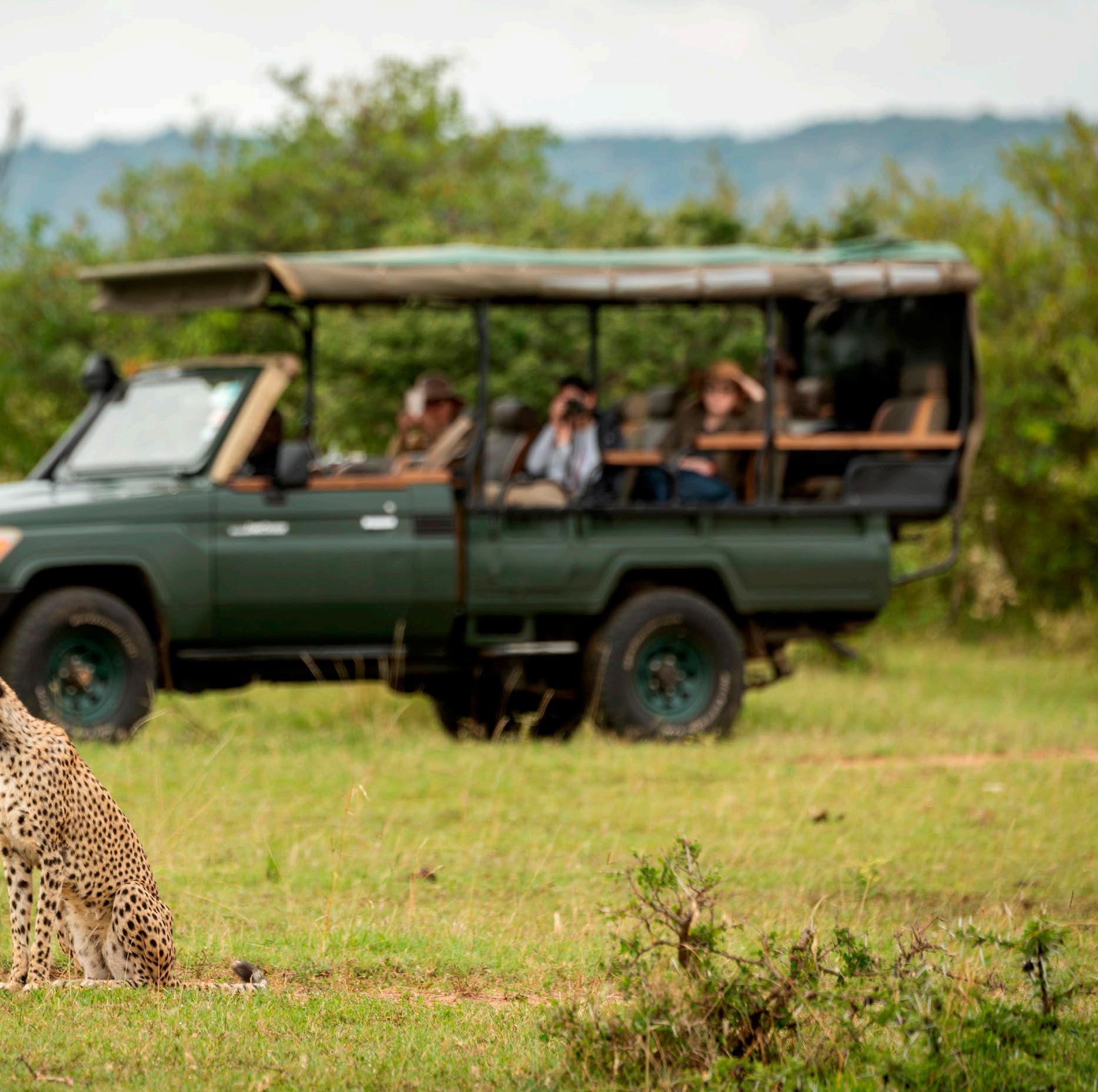 Scenic Africa 20242025 NZD by scenic Issuu