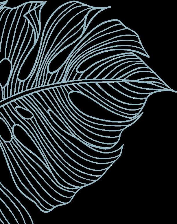 Title Guaranty's Marketing Kit by Title Guaranty Hawaii Issuu