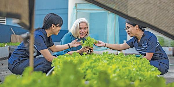 Cover for The Medical City answers the global call for creating a greener space for all