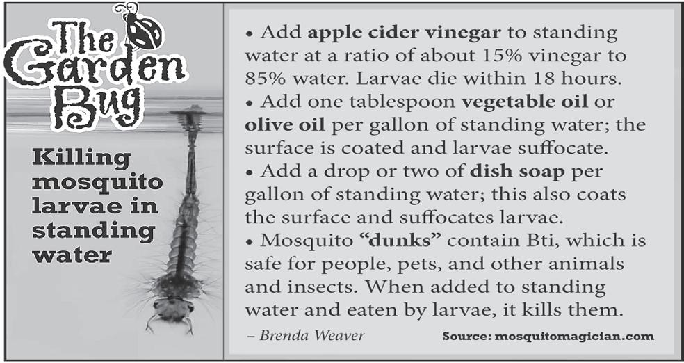 Cover for How the war will end