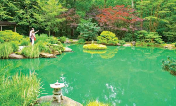 Cover for Do you know about this nearby spectacular colorful sanctuary?