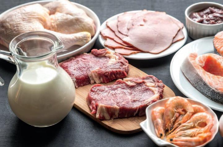 Cover for Alimentos provenientes de animales