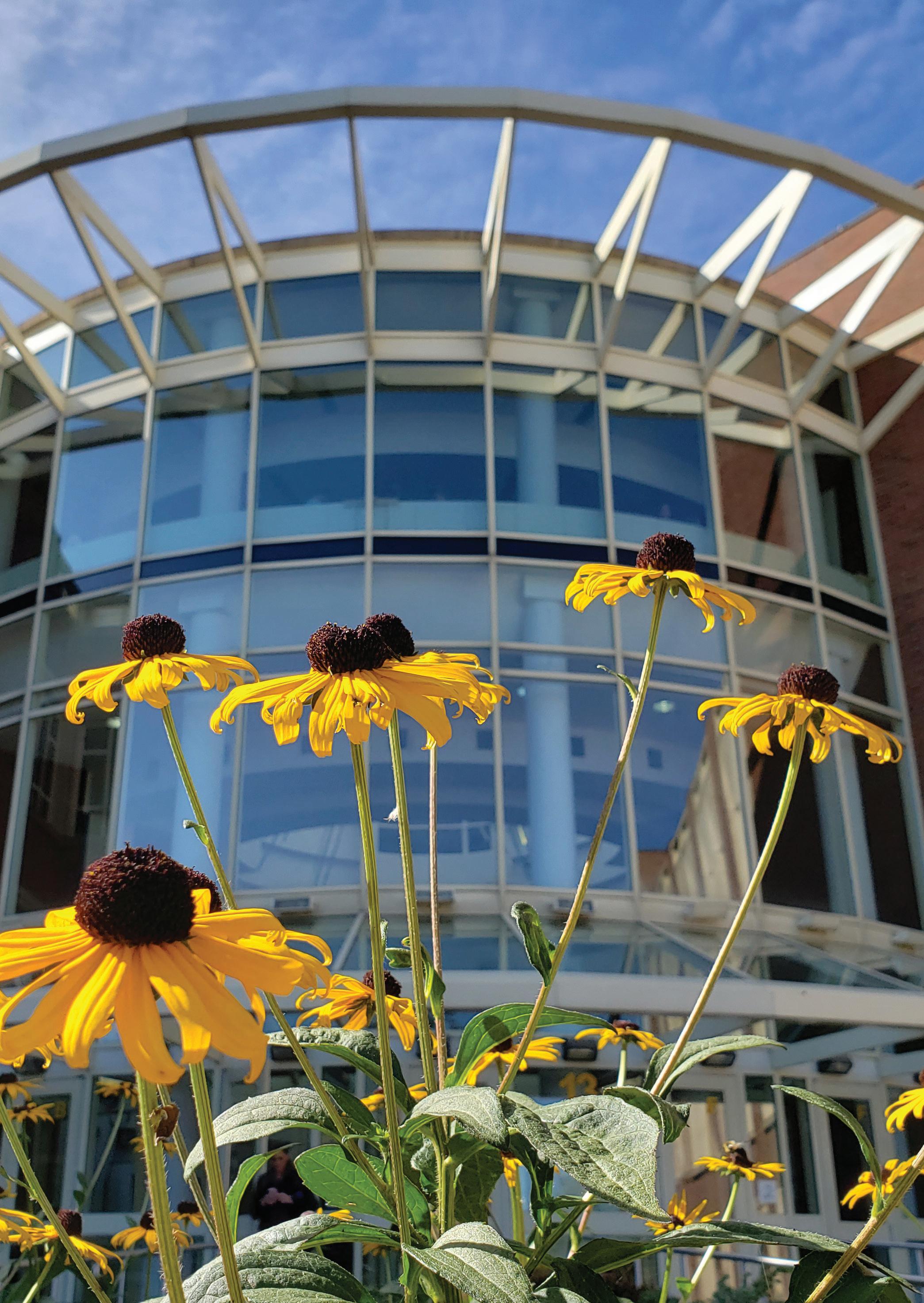 2023 Calendar Report to the Community by Rochester Community and Technical College - Issuu 2023 Calendar Report to the Community by Rochester Community and Technical College - Issuu