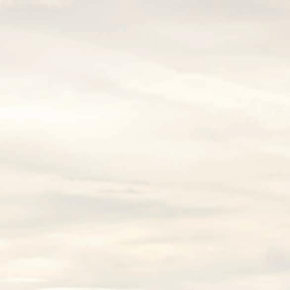 絶対成功！セロリ栽培の完全ガイド🌱