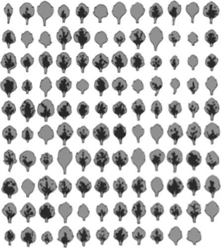 CHAPTER 2 Single-Gene Inheritance