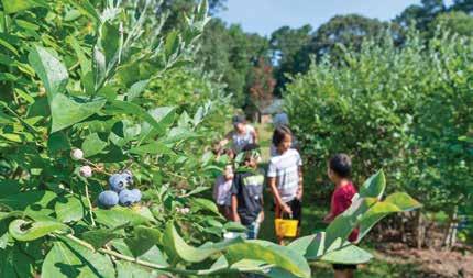 Tourism Authority awarded grant to support JoCo Grows Agriculture