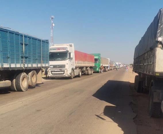 Camiones con animales de alta genética varados en la carretera a raíz del bloqueo