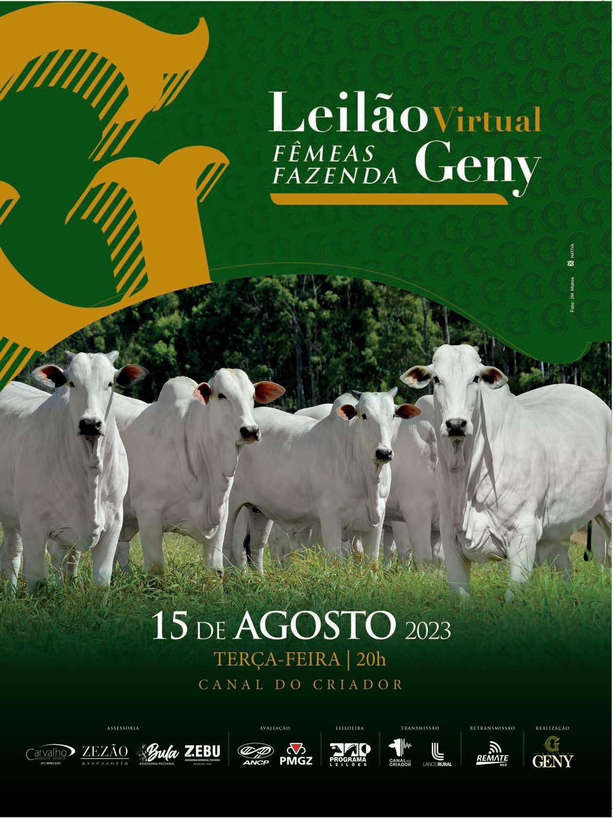 Semana do Zebu apresenta lives com foco nos leilões da 86ª ExpoZebu