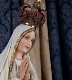 America Needs Fatima ® - Progress Report