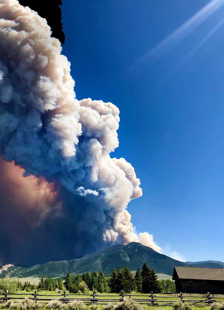 THE UNEXPECTED FIRE - Issuu