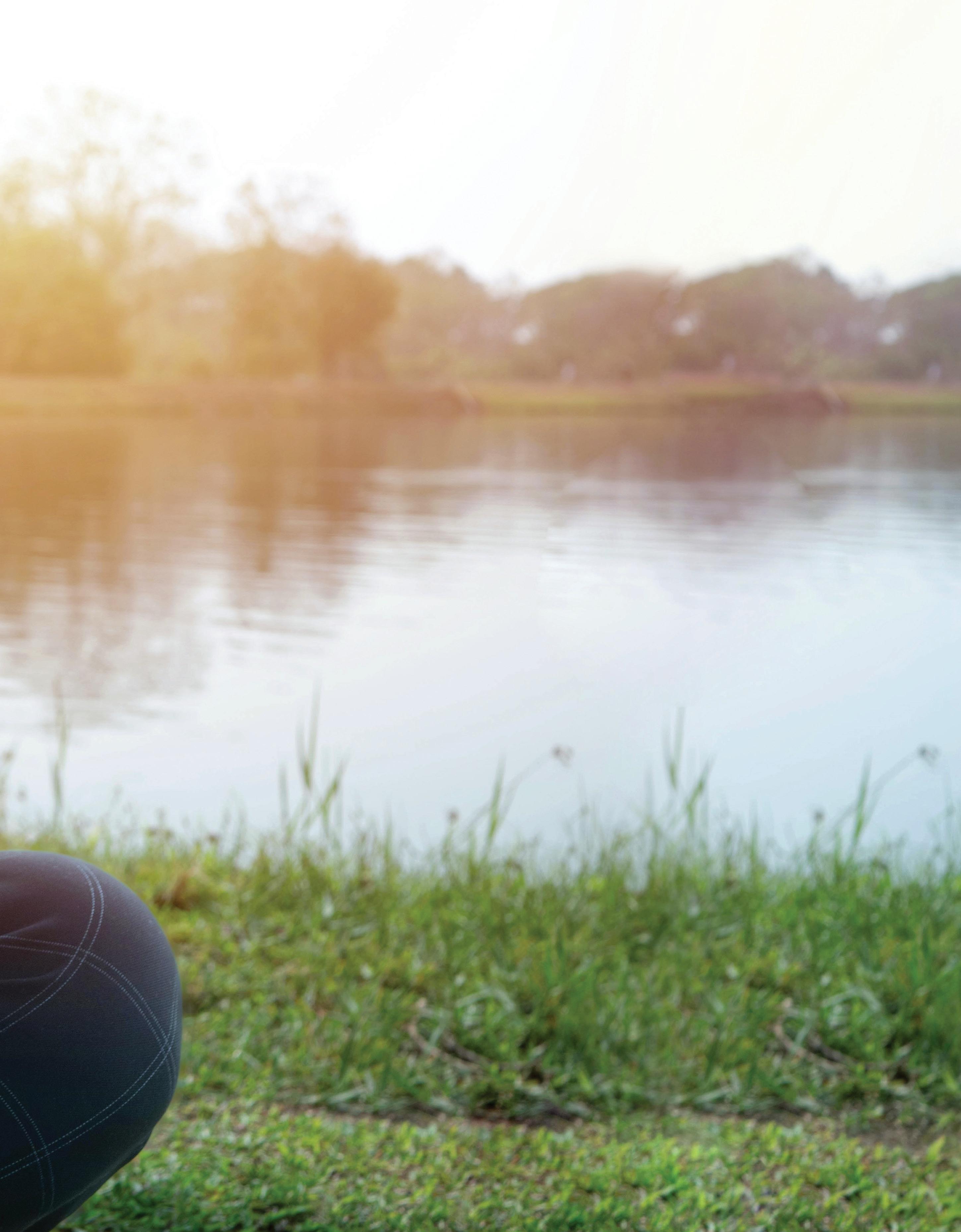 Cover for Apuntando al Objetivo