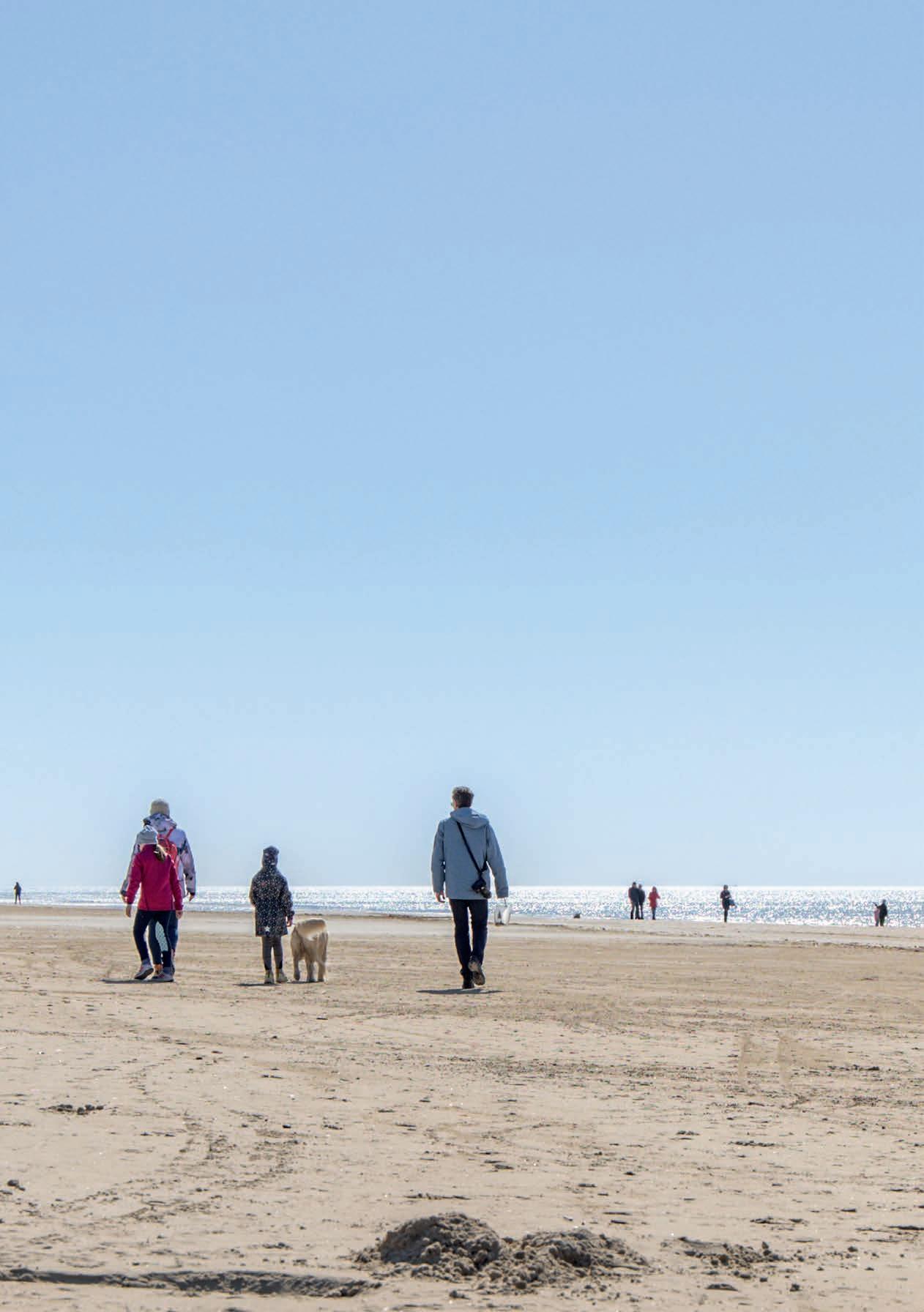 Cover for Livet på land