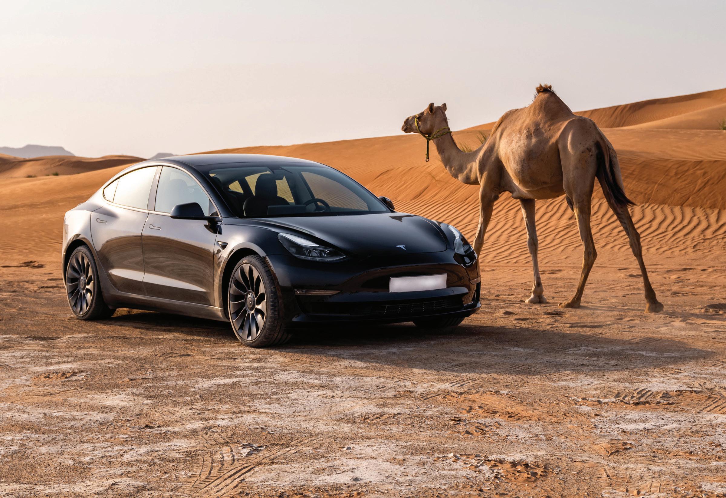 Cover for TESLA MODEL 3