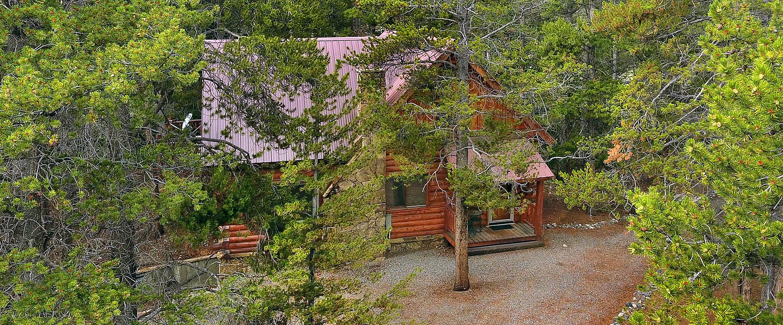 Relocation Guide by Bluebird Real Estate Issuu