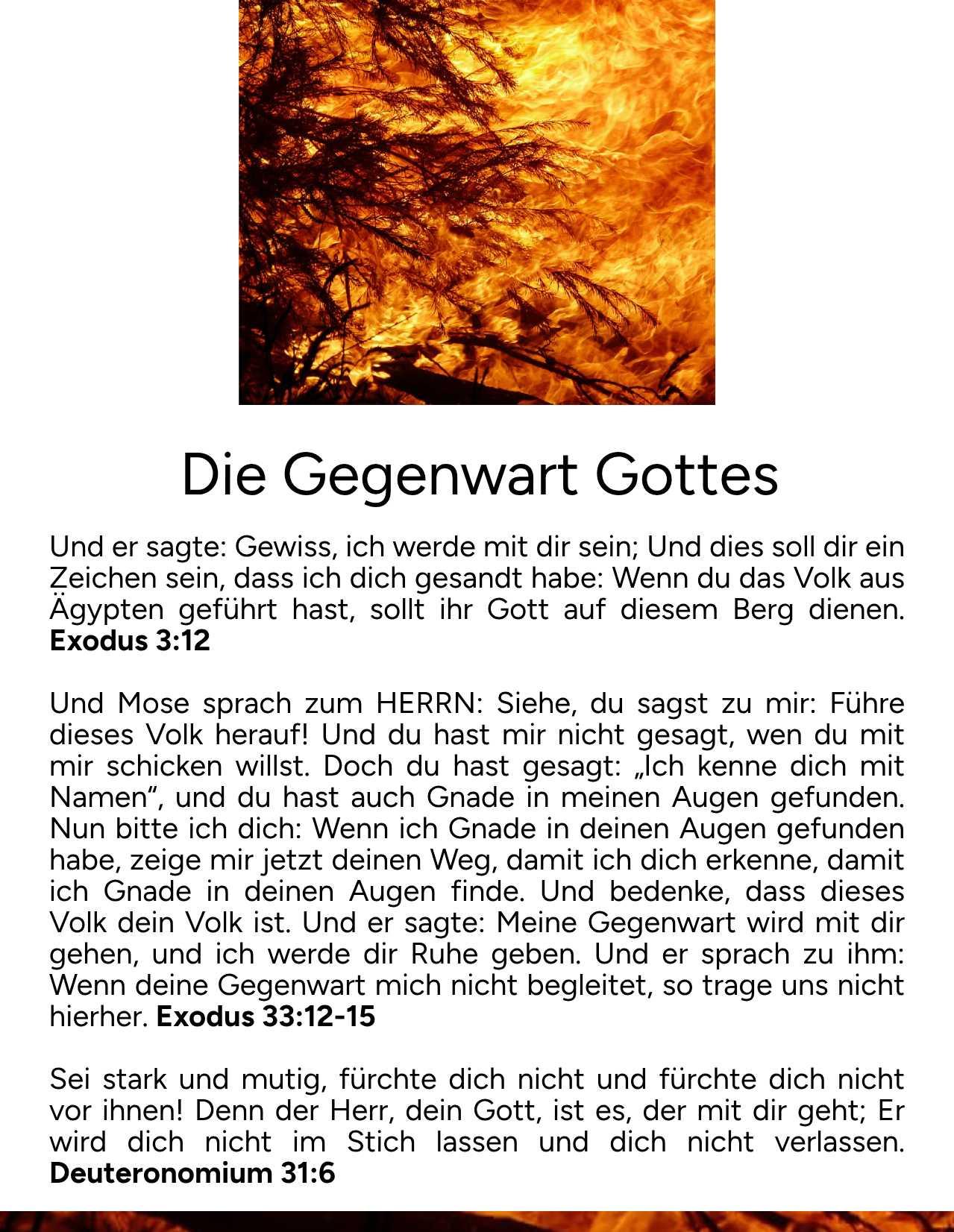 Exodus 6 mit cheap