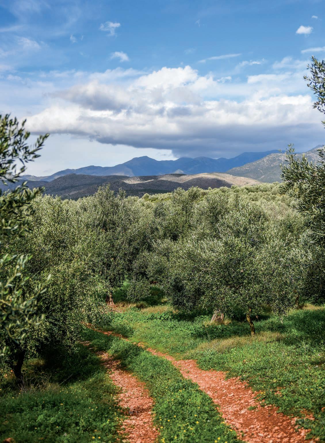 FOODMatch Product Catalog by FOODMatch Issuu