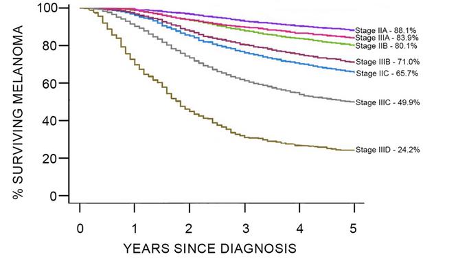 Options for Stage II Melanoma Cancer: Making the Decision That's Right ...