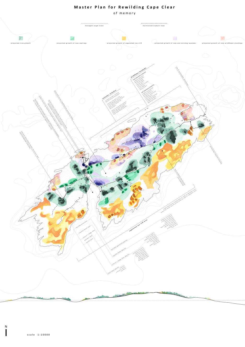 2023 CCAE Summer Undergraduate Catalogue Year 4 by Cork Centre for